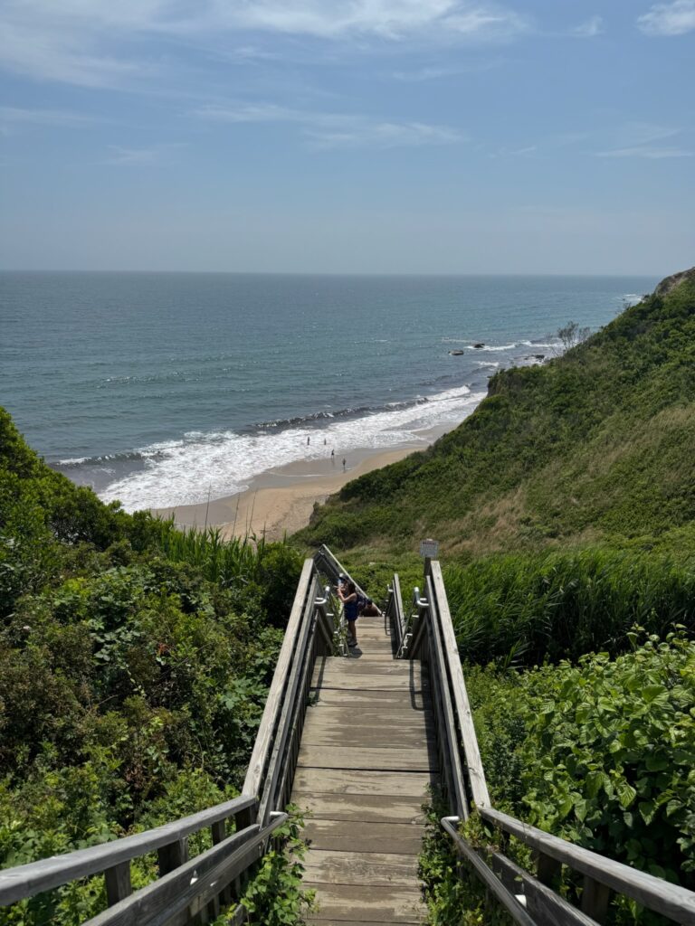 A steep set of wooden stairs leading down a cliffside to the beach below.